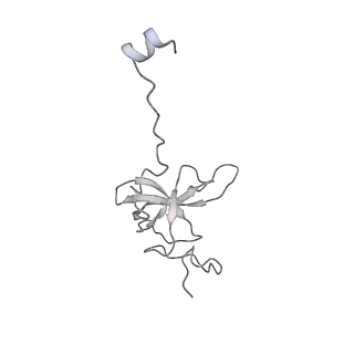 10284_6spf_l_v1-2
Pseudomonas aeruginosa 70s ribosome from an aminoglycoside resistant clinical isolate