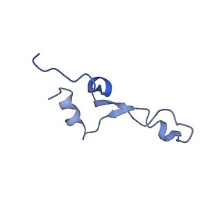 10285_6spg_5_v1-2
Pseudomonas aeruginosa 70s ribosome from a clinical isolate