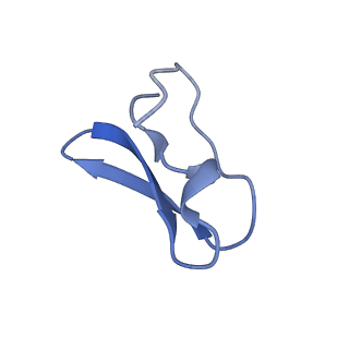 10285_6spg_6_v1-2
Pseudomonas aeruginosa 70s ribosome from a clinical isolate