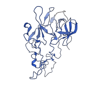 10285_6spg_C_v1-2
Pseudomonas aeruginosa 70s ribosome from a clinical isolate