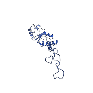 10285_6spg_E_v1-2
Pseudomonas aeruginosa 70s ribosome from a clinical isolate