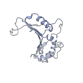 10285_6spg_F_v1-2
Pseudomonas aeruginosa 70s ribosome from a clinical isolate