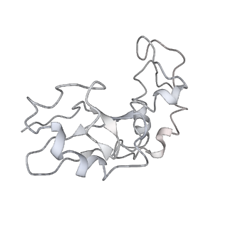 10285_6spg_I_v1-2
Pseudomonas aeruginosa 70s ribosome from a clinical isolate