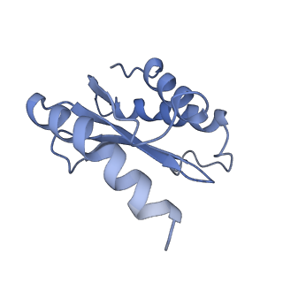 10285_6spg_O_v1-2
Pseudomonas aeruginosa 70s ribosome from a clinical isolate