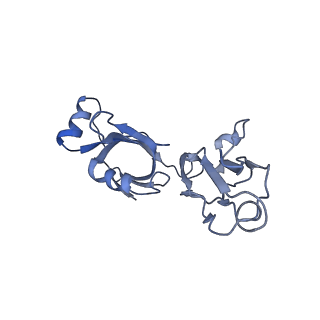 10285_6spg_V_v1-2
Pseudomonas aeruginosa 70s ribosome from a clinical isolate