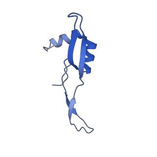 10285_6spg_X_v1-2
Pseudomonas aeruginosa 70s ribosome from a clinical isolate