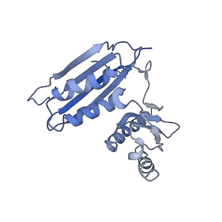 10285_6spg_c_v1-2
Pseudomonas aeruginosa 70s ribosome from a clinical isolate