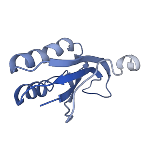 10285_6spg_f_v1-2
Pseudomonas aeruginosa 70s ribosome from a clinical isolate
