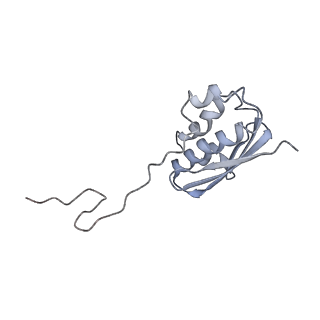 10285_6spg_i_v1-2
Pseudomonas aeruginosa 70s ribosome from a clinical isolate