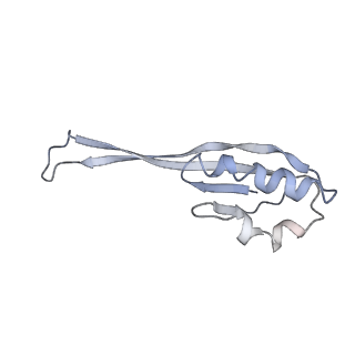 10285_6spg_j_v1-2
Pseudomonas aeruginosa 70s ribosome from a clinical isolate
