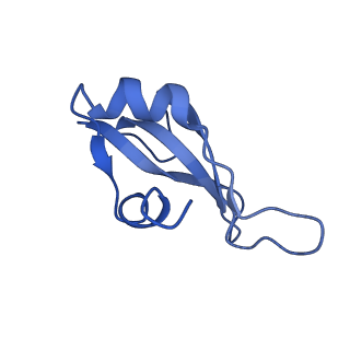 10285_6spg_p_v1-2
Pseudomonas aeruginosa 70s ribosome from a clinical isolate