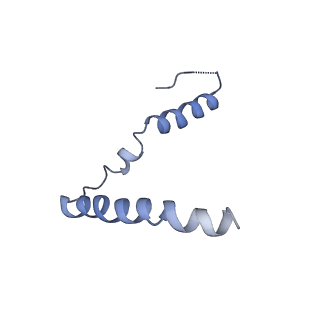 10285_6spg_u_v1-2
Pseudomonas aeruginosa 70s ribosome from a clinical isolate