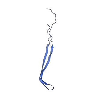 24769_7spb_A10_v1-0
Models for C13 reconstruction of Outer Membrane Core Complex (OMCC) of Type IV Secretion System (T4SS) encoded by F-plasmid (pED208).