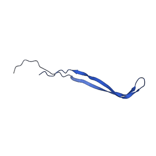 24769_7spb_A13_v1-0
Models for C13 reconstruction of Outer Membrane Core Complex (OMCC) of Type IV Secretion System (T4SS) encoded by F-plasmid (pED208).