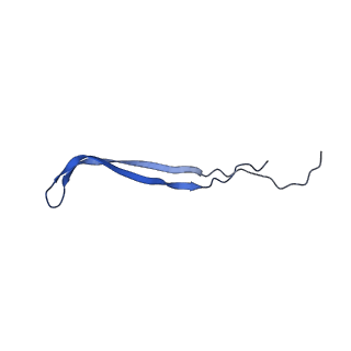 24769_7spb_A7_v1-0
Models for C13 reconstruction of Outer Membrane Core Complex (OMCC) of Type IV Secretion System (T4SS) encoded by F-plasmid (pED208).