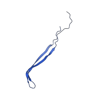 24769_7spb_A9_v1-0
Models for C13 reconstruction of Outer Membrane Core Complex (OMCC) of Type IV Secretion System (T4SS) encoded by F-plasmid (pED208).