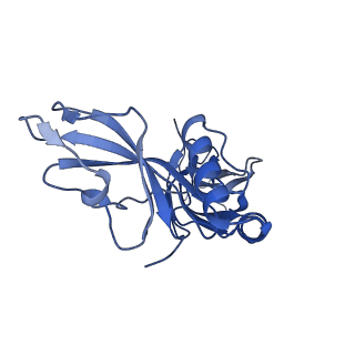 24769_7spb_C10_v1-0
Models for C13 reconstruction of Outer Membrane Core Complex (OMCC) of Type IV Secretion System (T4SS) encoded by F-plasmid (pED208).