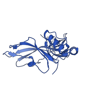 24769_7spb_C11_v1-0
Models for C13 reconstruction of Outer Membrane Core Complex (OMCC) of Type IV Secretion System (T4SS) encoded by F-plasmid (pED208).