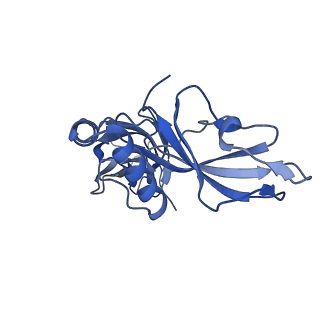 24769_7spb_C4_v1-0
Models for C13 reconstruction of Outer Membrane Core Complex (OMCC) of Type IV Secretion System (T4SS) encoded by F-plasmid (pED208).