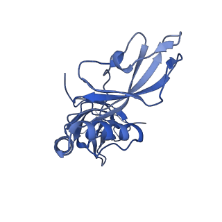 24769_7spb_C6_v1-0
Models for C13 reconstruction of Outer Membrane Core Complex (OMCC) of Type IV Secretion System (T4SS) encoded by F-plasmid (pED208).