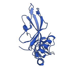 24769_7spb_C8_v1-0
Models for C13 reconstruction of Outer Membrane Core Complex (OMCC) of Type IV Secretion System (T4SS) encoded by F-plasmid (pED208).