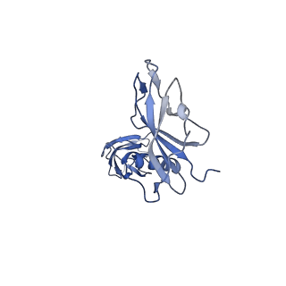 24769_7spb_D7_v1-0
Models for C13 reconstruction of Outer Membrane Core Complex (OMCC) of Type IV Secretion System (T4SS) encoded by F-plasmid (pED208).