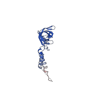 24770_7spc_EF10_v1-0
Models for C17 reconstruction of Outer Membrane Core Complex (OMCC) of Type IV Secretion System (T4SS) encoded by F-plasmid (pED208).