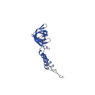 24770_7spc_EF11_v1-0
Models for C17 reconstruction of Outer Membrane Core Complex (OMCC) of Type IV Secretion System (T4SS) encoded by F-plasmid (pED208).