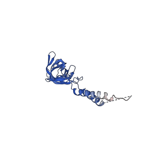24770_7spc_EF13_v1-0
Models for C17 reconstruction of Outer Membrane Core Complex (OMCC) of Type IV Secretion System (T4SS) encoded by F-plasmid (pED208).