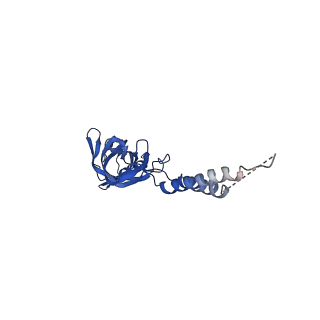 24770_7spc_EF14_v1-0
Models for C17 reconstruction of Outer Membrane Core Complex (OMCC) of Type IV Secretion System (T4SS) encoded by F-plasmid (pED208).