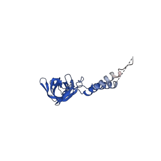 24770_7spc_EF15_v1-0
Models for C17 reconstruction of Outer Membrane Core Complex (OMCC) of Type IV Secretion System (T4SS) encoded by F-plasmid (pED208).