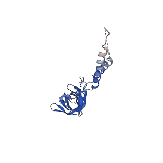 24770_7spc_EF17_v1-0
Models for C17 reconstruction of Outer Membrane Core Complex (OMCC) of Type IV Secretion System (T4SS) encoded by F-plasmid (pED208).