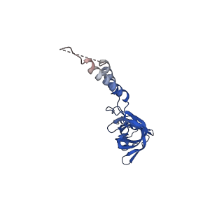 24770_7spc_EF3_v1-0
Models for C17 reconstruction of Outer Membrane Core Complex (OMCC) of Type IV Secretion System (T4SS) encoded by F-plasmid (pED208).