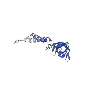 24770_7spc_EF5_v1-0
Models for C17 reconstruction of Outer Membrane Core Complex (OMCC) of Type IV Secretion System (T4SS) encoded by F-plasmid (pED208).