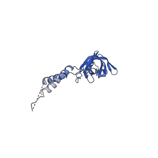 24770_7spc_EF7_v1-0
Models for C17 reconstruction of Outer Membrane Core Complex (OMCC) of Type IV Secretion System (T4SS) encoded by F-plasmid (pED208).