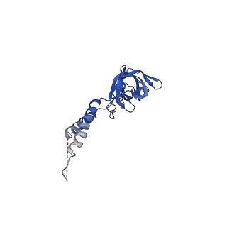 24770_7spc_EF8_v1-0
Models for C17 reconstruction of Outer Membrane Core Complex (OMCC) of Type IV Secretion System (T4SS) encoded by F-plasmid (pED208).