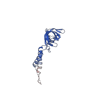 24770_7spc_EF9_v1-0
Models for C17 reconstruction of Outer Membrane Core Complex (OMCC) of Type IV Secretion System (T4SS) encoded by F-plasmid (pED208).