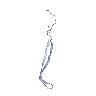 24771_7spi_A10_v1-0
Models for C13 reconstruction of Outer Membrane Core Complex (OMCC) of Type IV Secretion System (T4SS) encoded by a plasmid overproducing TraV, TraK and TraB of pED208