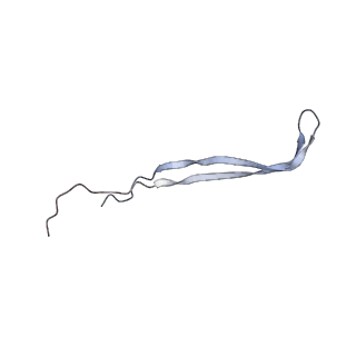 24771_7spi_A1_v1-0
Models for C13 reconstruction of Outer Membrane Core Complex (OMCC) of Type IV Secretion System (T4SS) encoded by a plasmid overproducing TraV, TraK and TraB of pED208