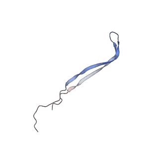 24771_7spi_A2_v1-0
Models for C13 reconstruction of Outer Membrane Core Complex (OMCC) of Type IV Secretion System (T4SS) encoded by a plasmid overproducing TraV, TraK and TraB of pED208