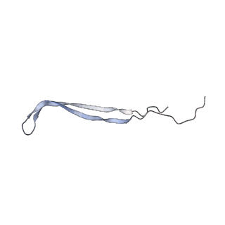 24771_7spi_A7_v1-0
Models for C13 reconstruction of Outer Membrane Core Complex (OMCC) of Type IV Secretion System (T4SS) encoded by a plasmid overproducing TraV, TraK and TraB of pED208