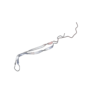 24771_7spi_A8_v1-0
Models for C13 reconstruction of Outer Membrane Core Complex (OMCC) of Type IV Secretion System (T4SS) encoded by a plasmid overproducing TraV, TraK and TraB of pED208