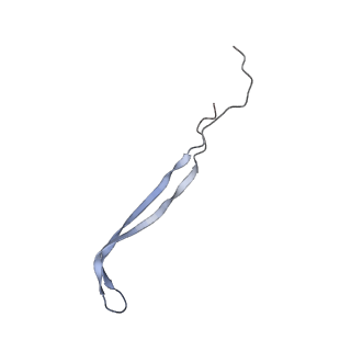 24771_7spi_A9_v1-0
Models for C13 reconstruction of Outer Membrane Core Complex (OMCC) of Type IV Secretion System (T4SS) encoded by a plasmid overproducing TraV, TraK and TraB of pED208