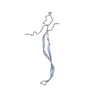 24771_7spi_B4_v1-0
Models for C13 reconstruction of Outer Membrane Core Complex (OMCC) of Type IV Secretion System (T4SS) encoded by a plasmid overproducing TraV, TraK and TraB of pED208