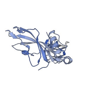 24771_7spi_C10_v1-0
Models for C13 reconstruction of Outer Membrane Core Complex (OMCC) of Type IV Secretion System (T4SS) encoded by a plasmid overproducing TraV, TraK and TraB of pED208