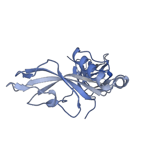 24771_7spi_C11_v1-0
Models for C13 reconstruction of Outer Membrane Core Complex (OMCC) of Type IV Secretion System (T4SS) encoded by a plasmid overproducing TraV, TraK and TraB of pED208