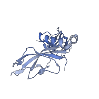 24771_7spi_C12_v1-0
Models for C13 reconstruction of Outer Membrane Core Complex (OMCC) of Type IV Secretion System (T4SS) encoded by a plasmid overproducing TraV, TraK and TraB of pED208