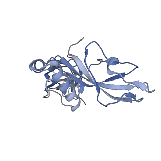 24771_7spi_C4_v1-0
Models for C13 reconstruction of Outer Membrane Core Complex (OMCC) of Type IV Secretion System (T4SS) encoded by a plasmid overproducing TraV, TraK and TraB of pED208