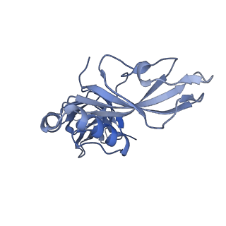 24771_7spi_C5_v1-0
Models for C13 reconstruction of Outer Membrane Core Complex (OMCC) of Type IV Secretion System (T4SS) encoded by a plasmid overproducing TraV, TraK and TraB of pED208
