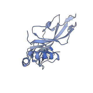 24771_7spi_C6_v1-0
Models for C13 reconstruction of Outer Membrane Core Complex (OMCC) of Type IV Secretion System (T4SS) encoded by a plasmid overproducing TraV, TraK and TraB of pED208